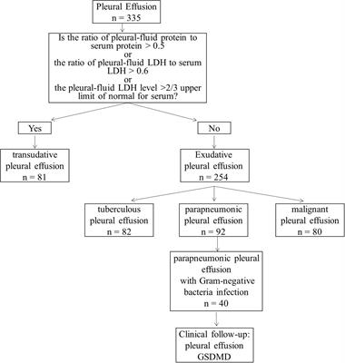 Pleural Fluid GSDMD Is a Novel Biomarker for the Early Differential Diagnosis of Pleural Effusion